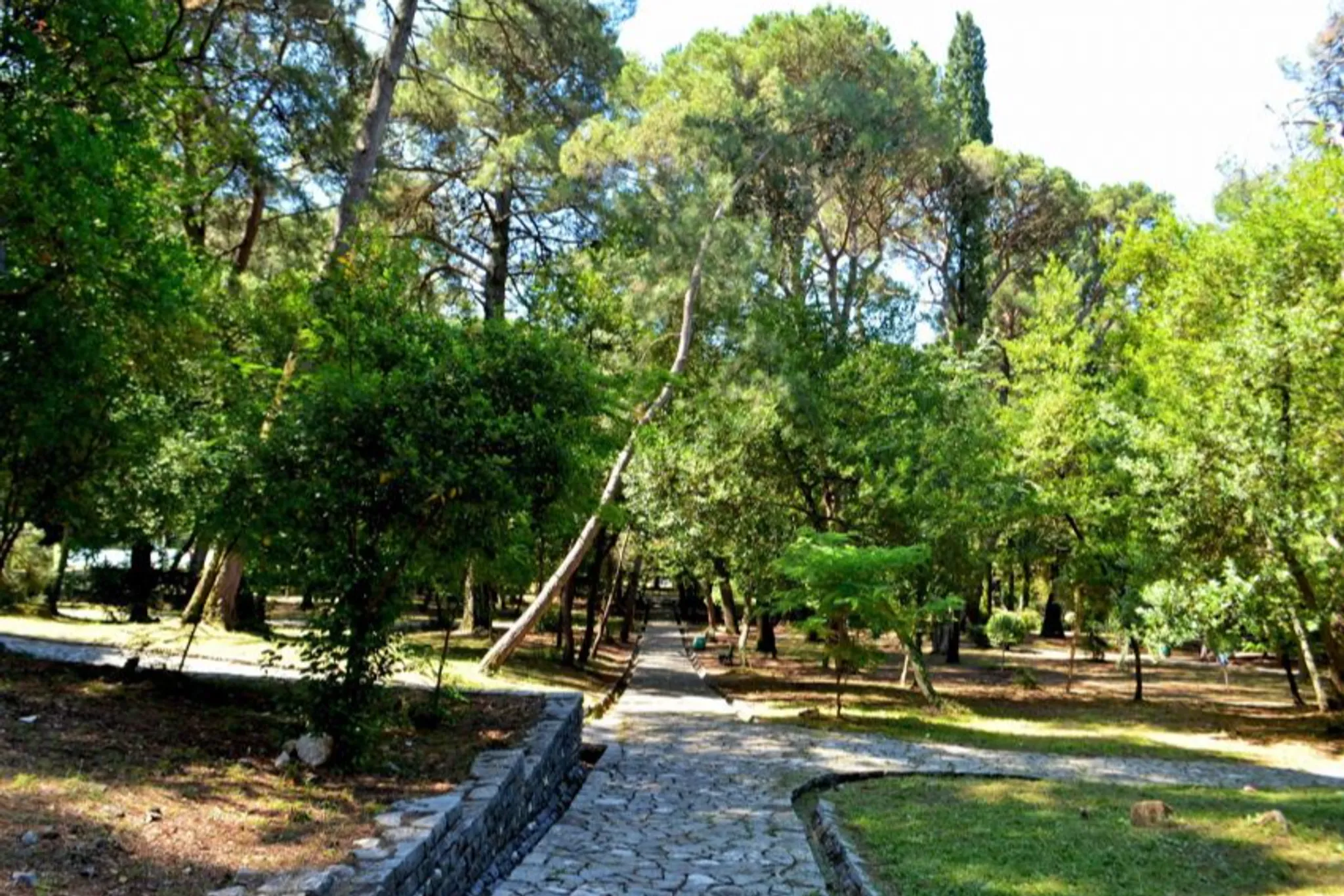 Tivat Botanic Garden