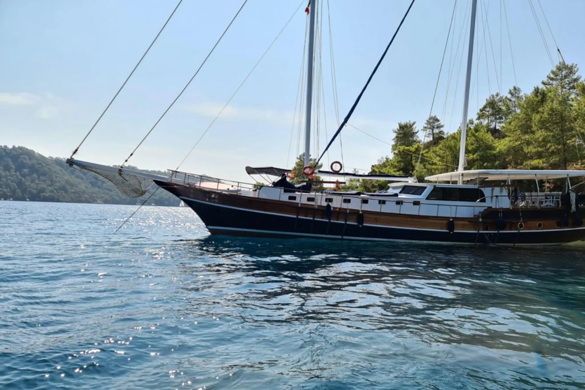 Blue Marlin — photo 2