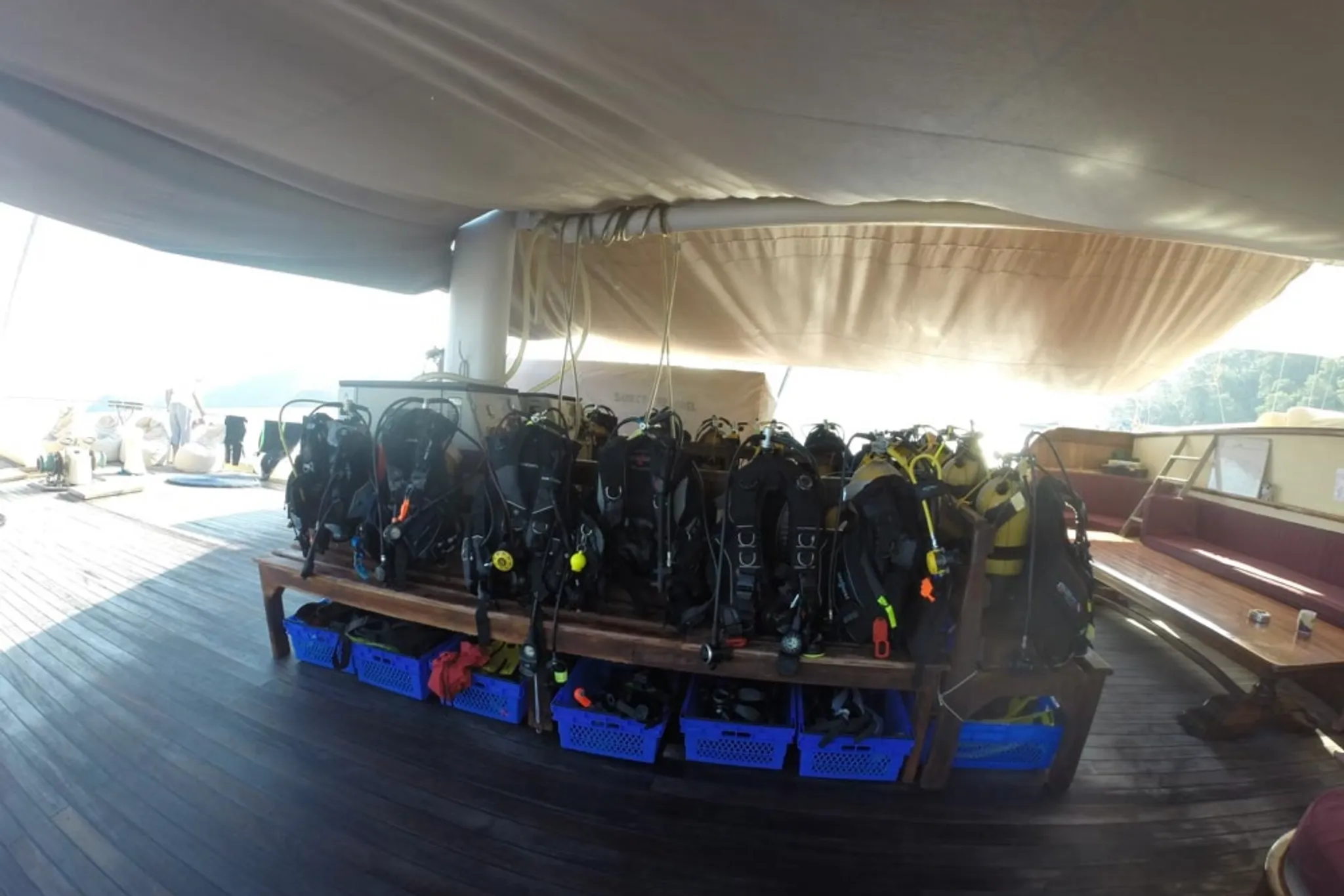 Reef Diving — entertainment