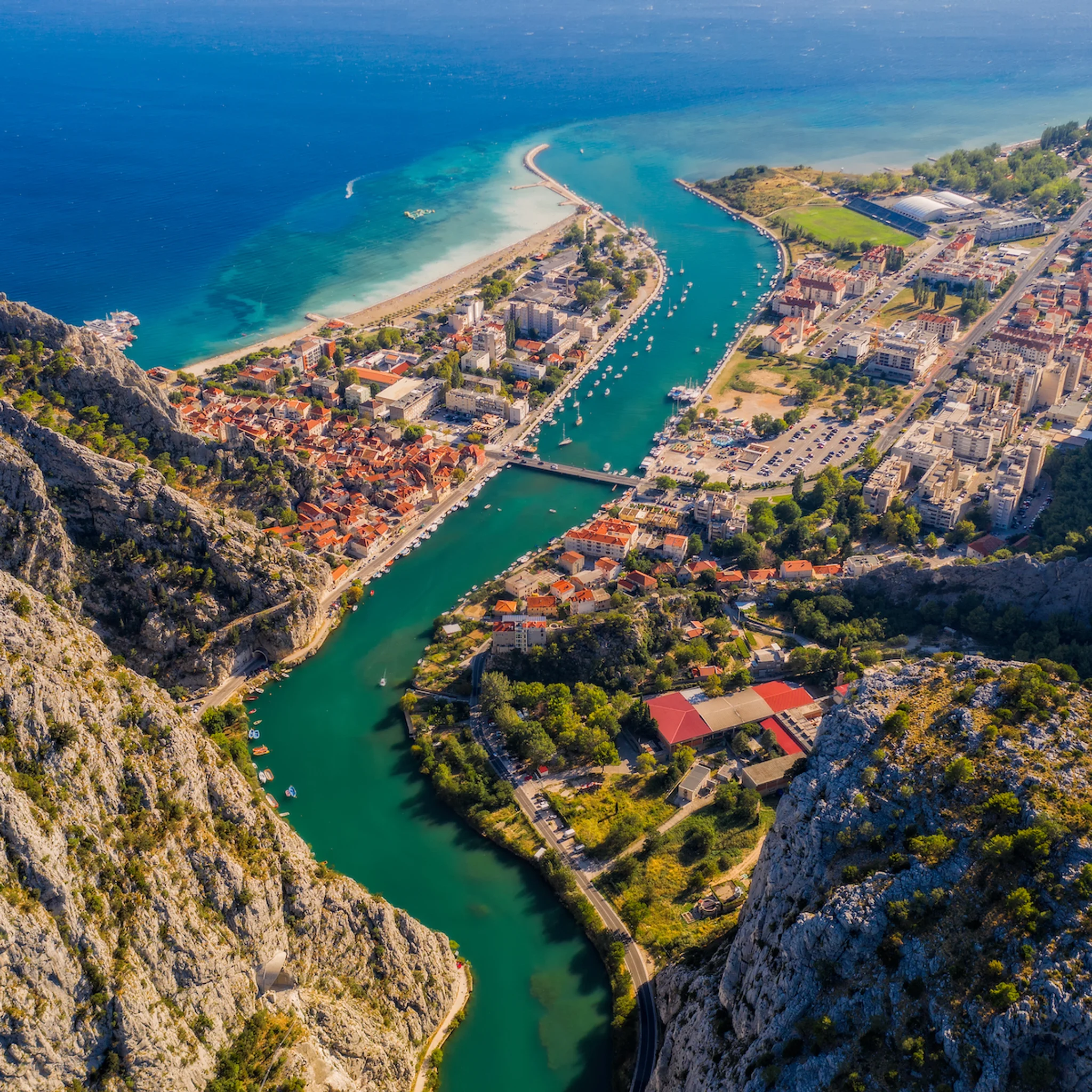 Omis