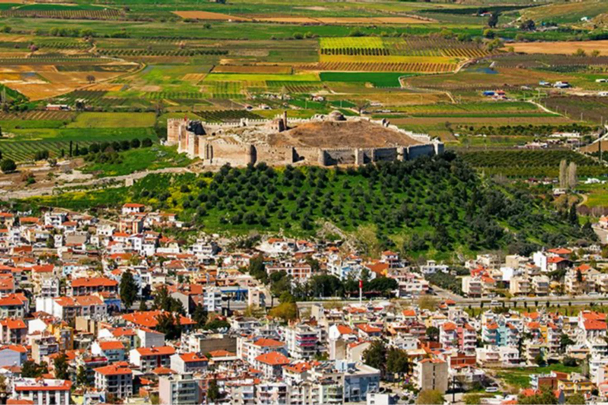 Selcuk