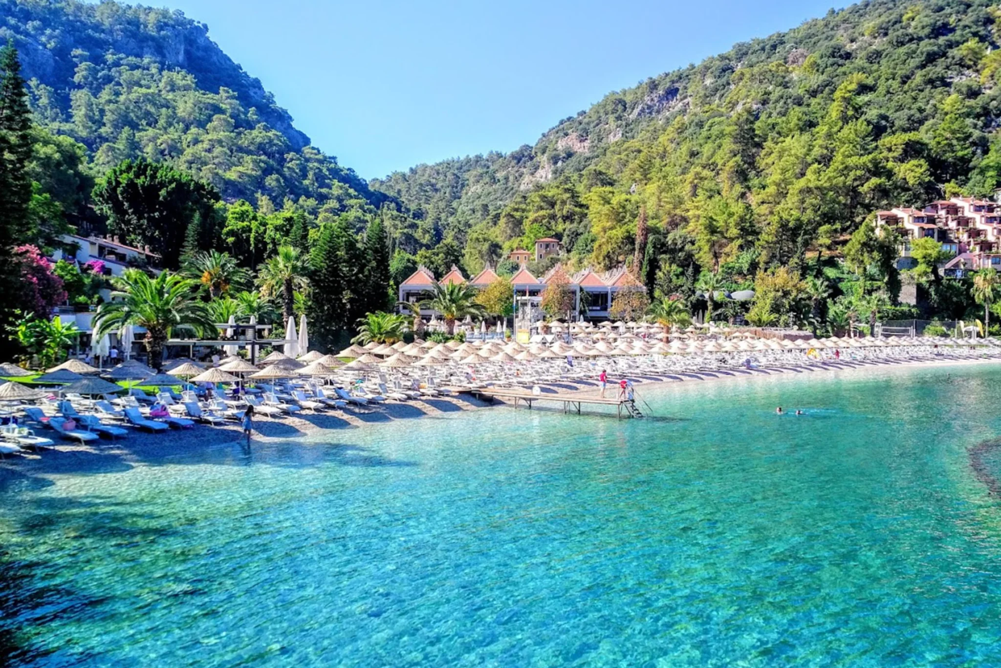 Tarzan Bay