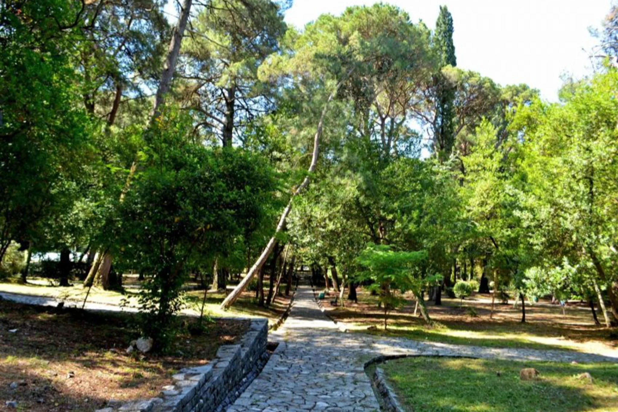 Tivat Botanic Garden