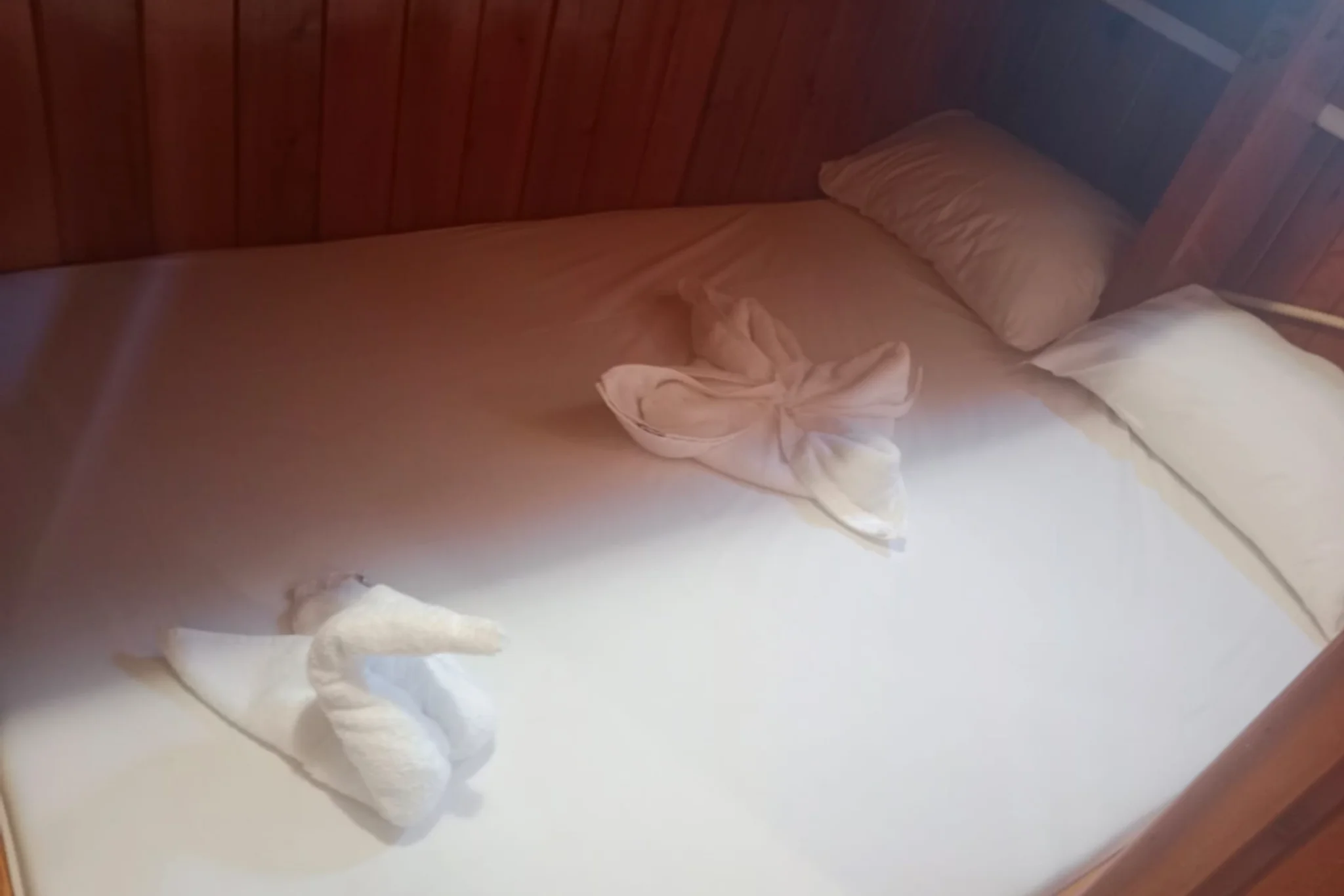 Cabine 1 de M/S Artemis