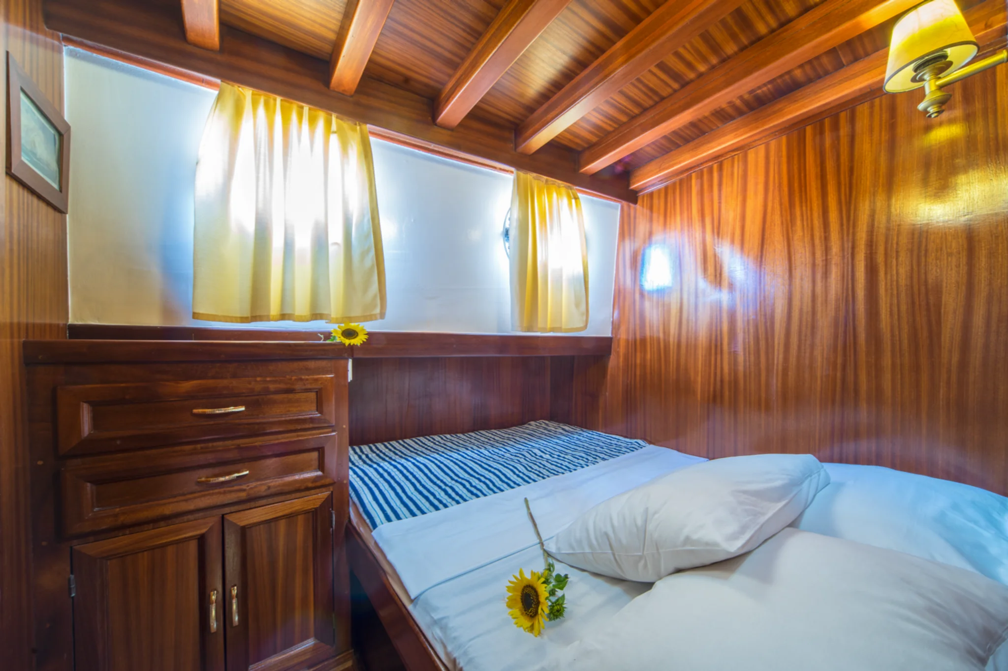 Alisa cabin 2