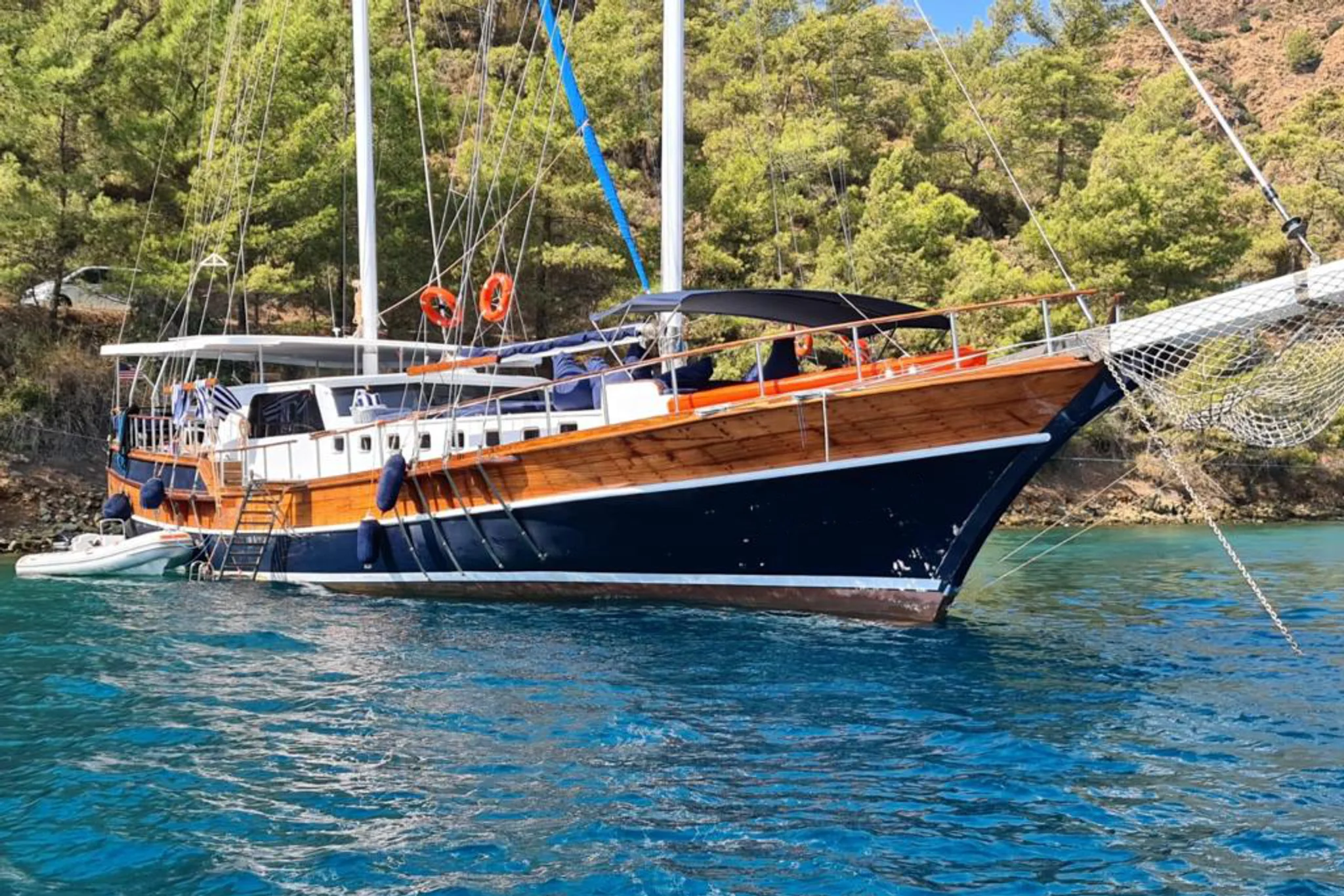Blue Marlin