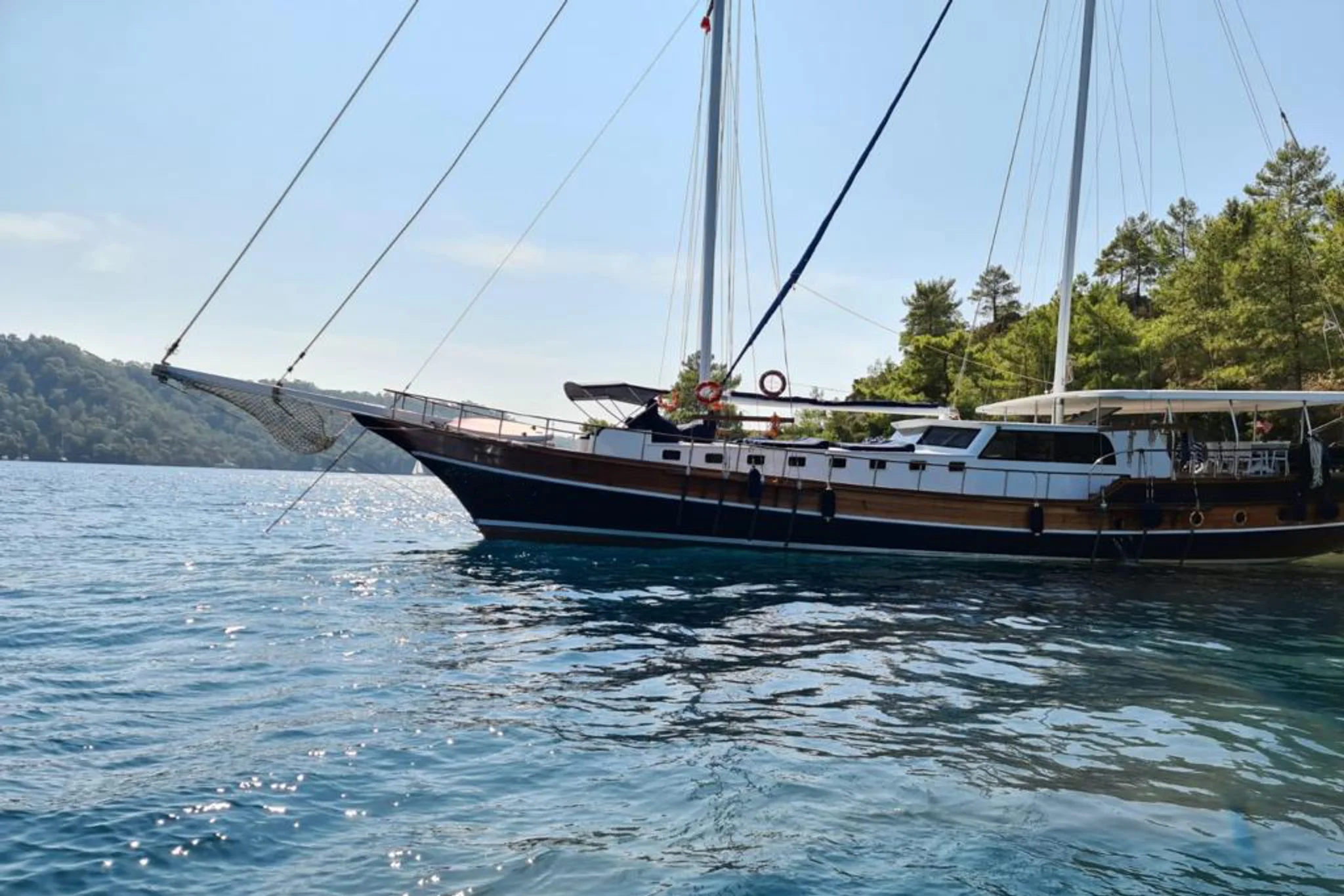 Blue Marlin — photo 2
