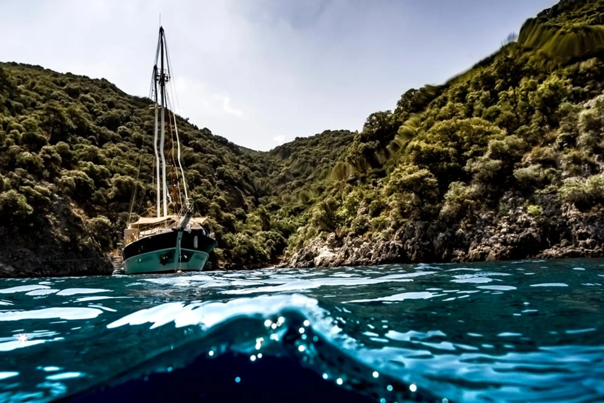 Reef Diving