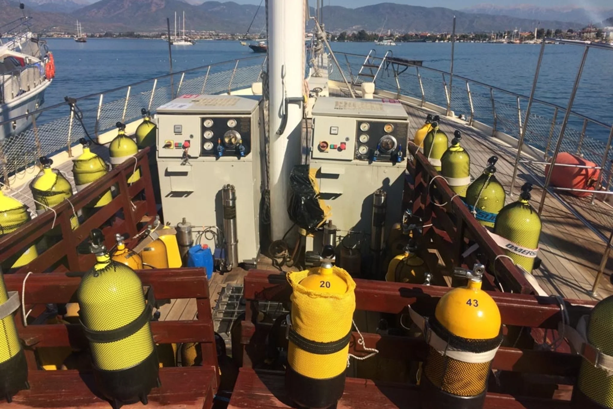 Reef Diving — intrattenimento