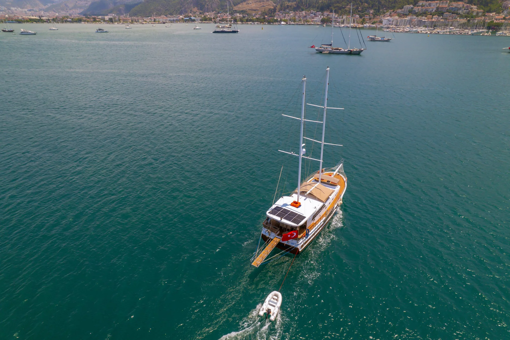 KASAPOGLU 6 — entertainment
