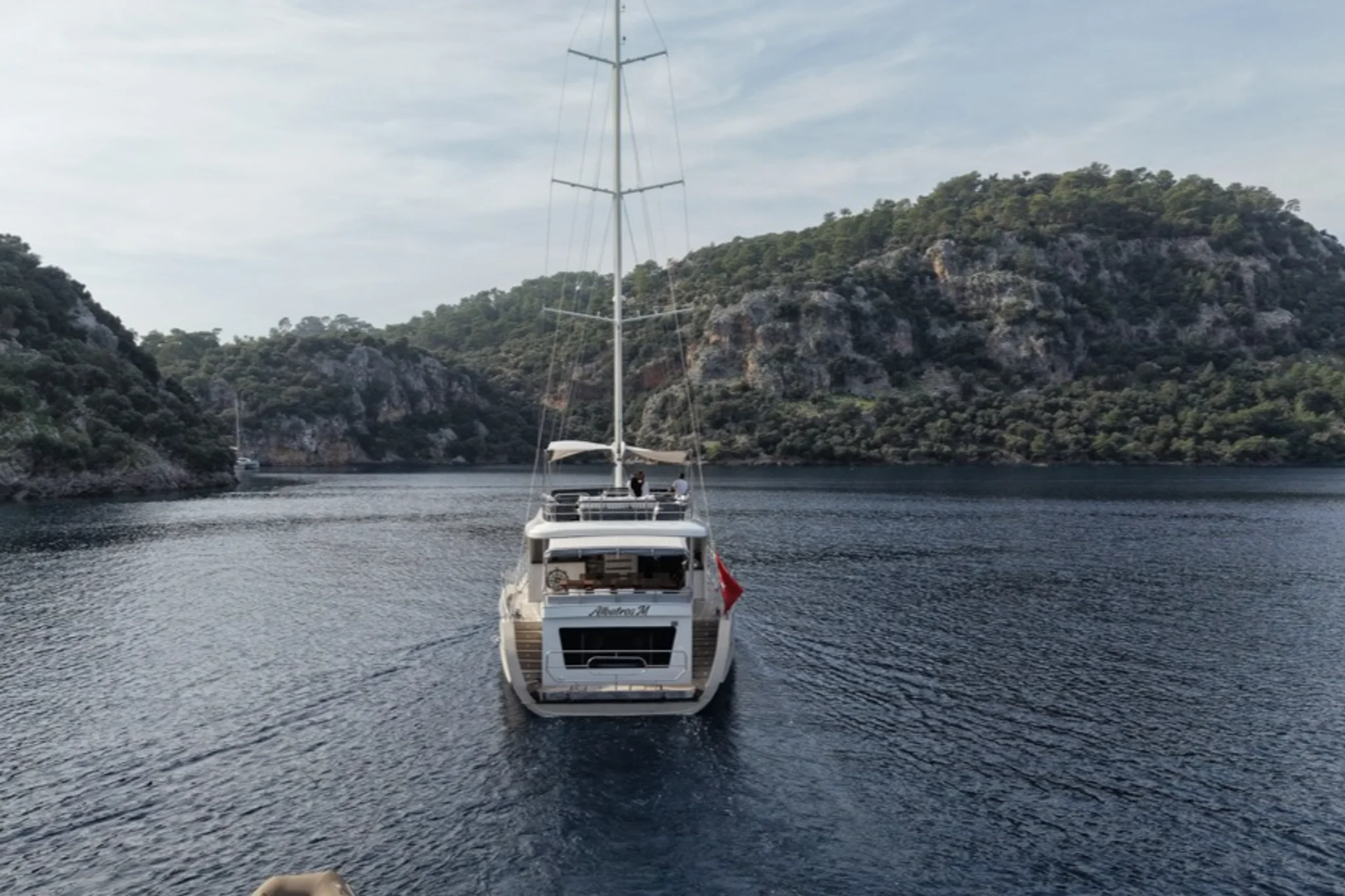 Albatros M — photo 7