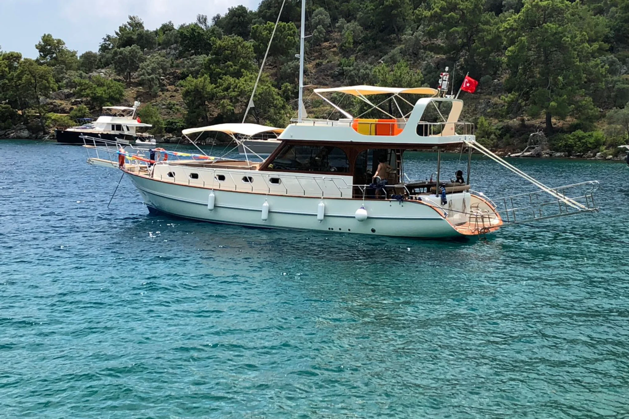 Ayna — photo 2