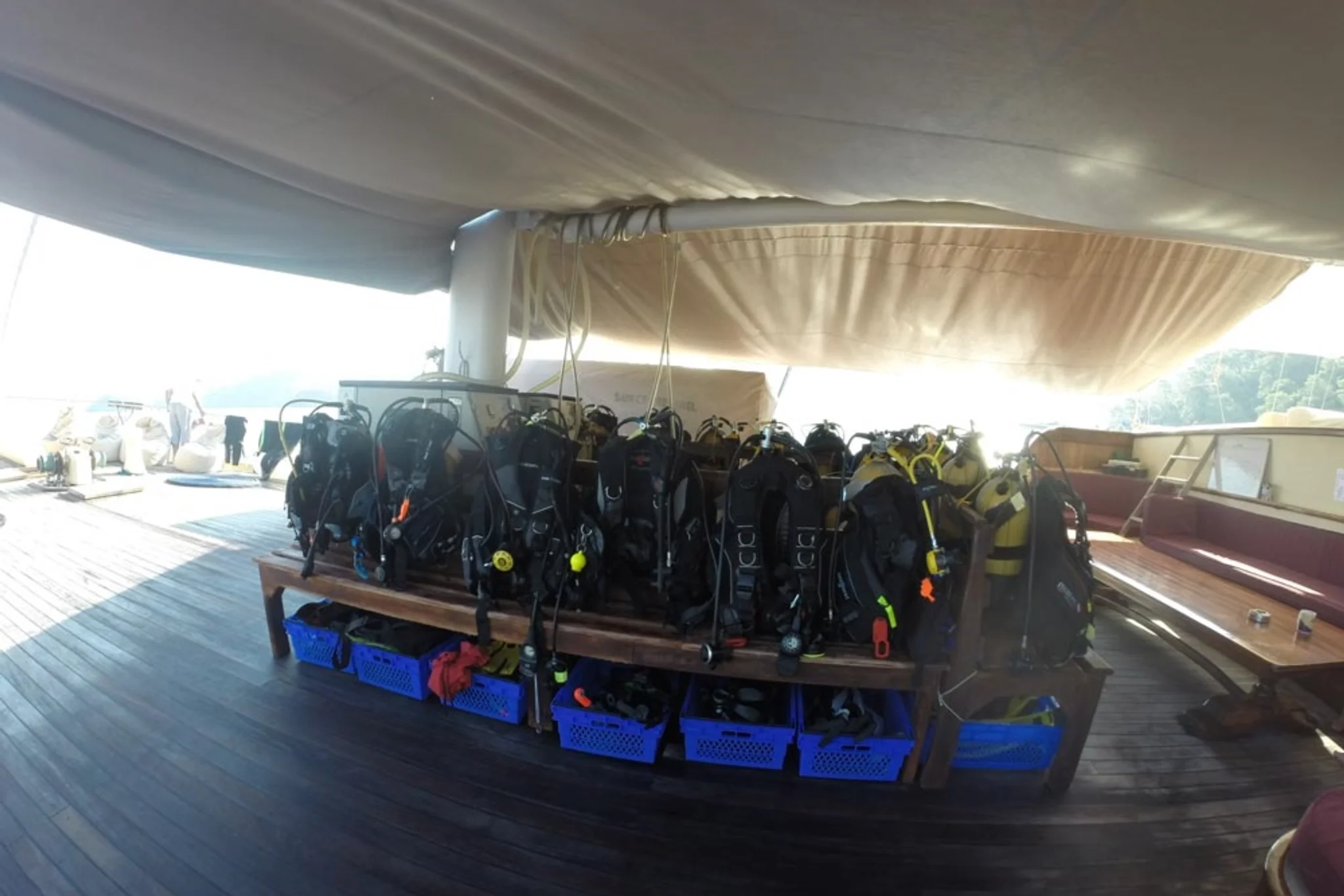 Reef Diving — intrattenimento