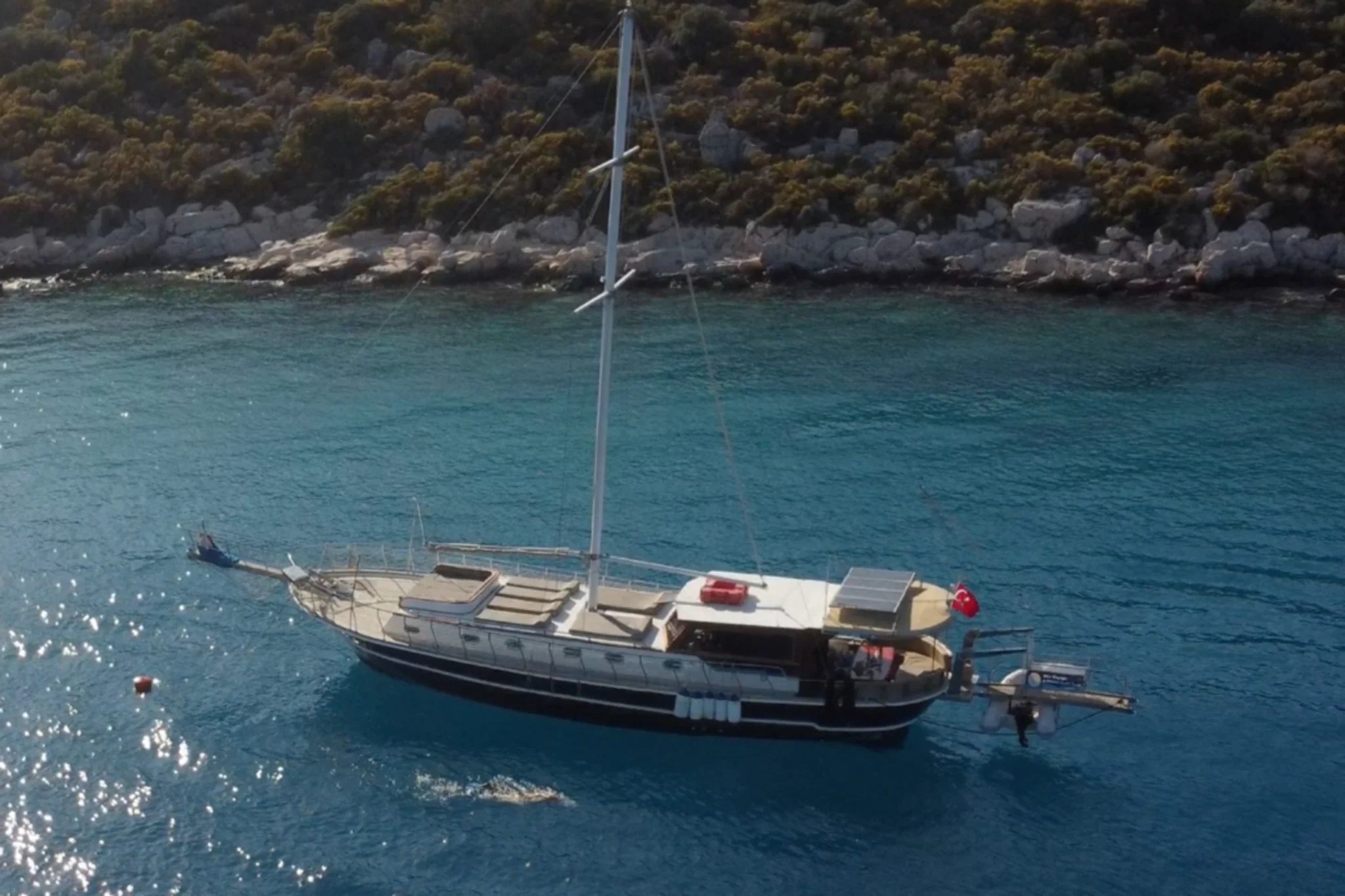 Albatros Q — photo 2