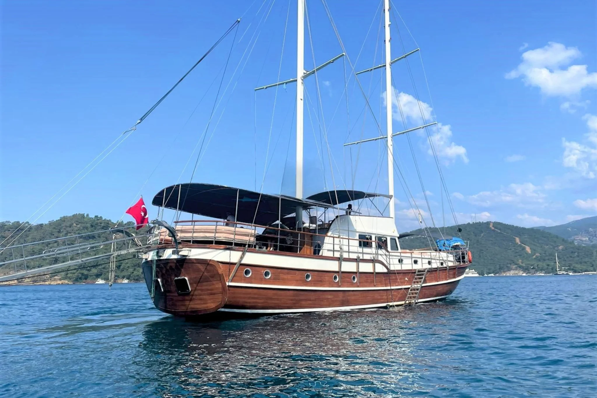 Royal Swan — foto 2