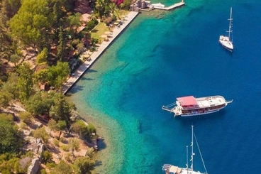 Domuz Island