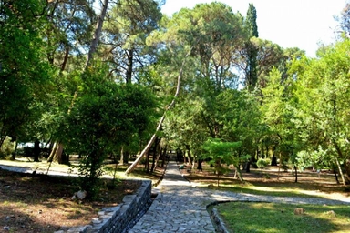 Tivat Botanic Garden